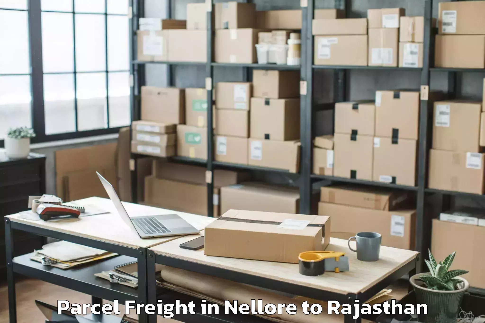 Easy Nellore to Bhilwara Parcel Freight Booking